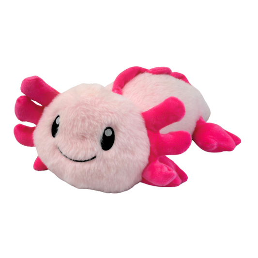 Ari Axolotl