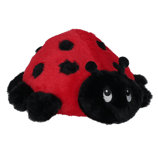 Lilly Ladybug