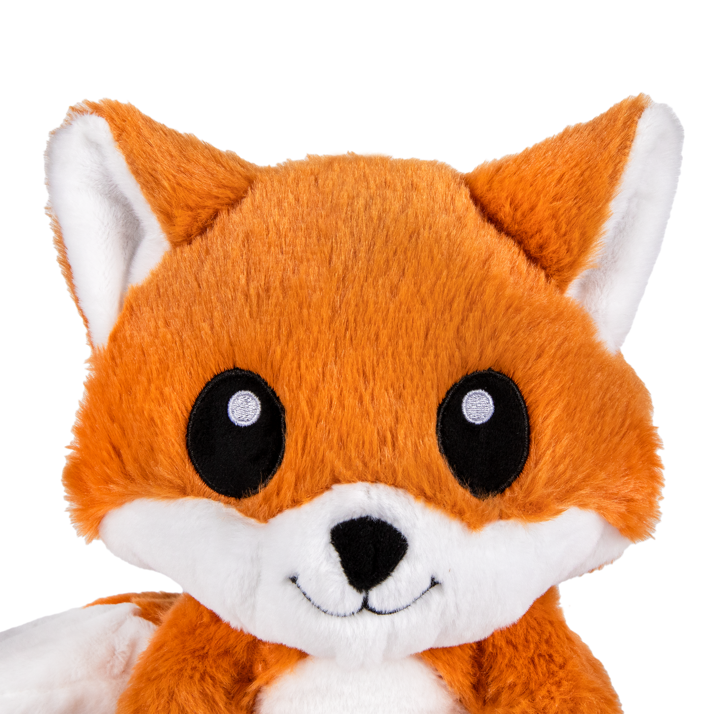 Friendly Fox