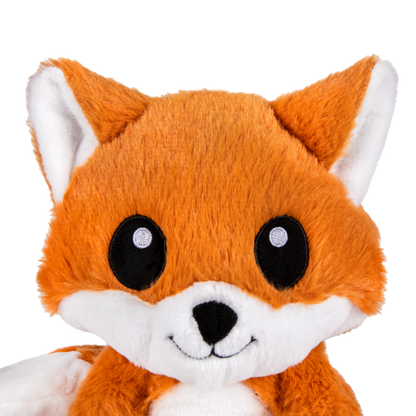 Friendly Fox